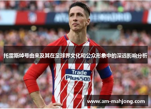 托雷斯绰号由来及其在足球界文化和公众形象中的深远影响分析