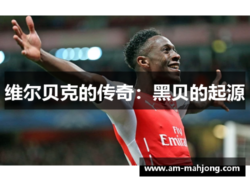 维尔贝克的传奇：黑贝的起源