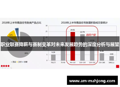 职业联赛降薪与赛制变革对未来发展趋势的深度分析与展望