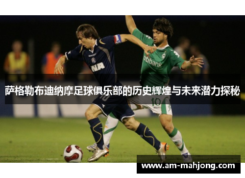 萨格勒布迪纳摩足球俱乐部的历史辉煌与未来潜力探秘