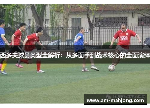 西多夫球员类型全解析：从多面手到战术核心的全面演绎