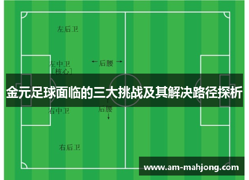 金元足球面临的三大挑战及其解决路径探析
