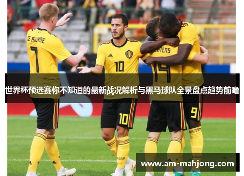 世界杯预选赛你不知道的最新战况解析与黑马球队全景盘点趋势前瞻