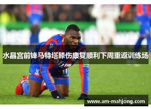 水晶宫前锋马特塔膝伤康复顺利下周重返训练场 水晶宫前锋马特塔膝伤康复顺利下周重返训练场