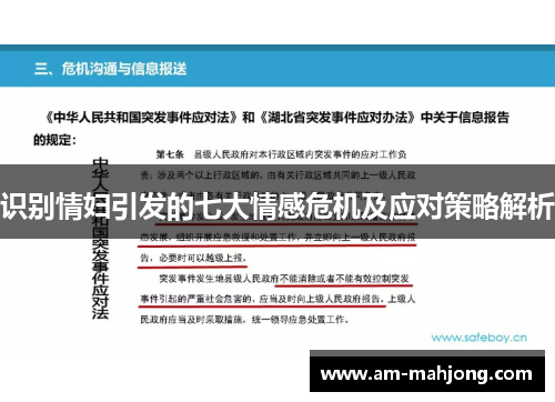 识别情妇引发的七大情感危机及应对策略解析