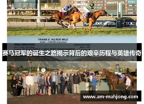 赛马冠军的诞生之路揭示背后的艰辛历程与英雄传奇