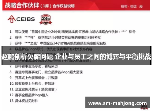 赵鹏剖析欠薪问题 企业与员工之间的博弈与平衡挑战